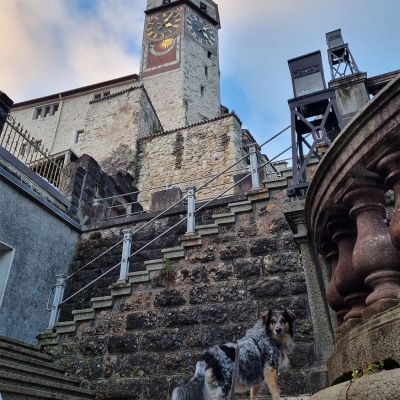 Schloss Rapperswil